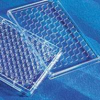 Human IFN-α2 Valukine ELISA kit