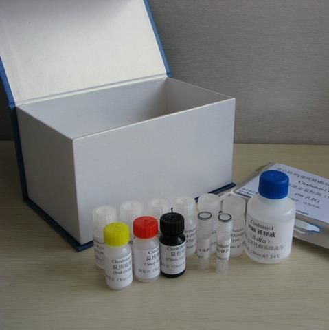 苯乙醇an胺A快速检测试剂盒