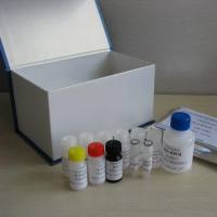 苯乙醇an胺A快速检测试剂盒