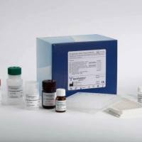 沙丁安醇快速检测试剂盒