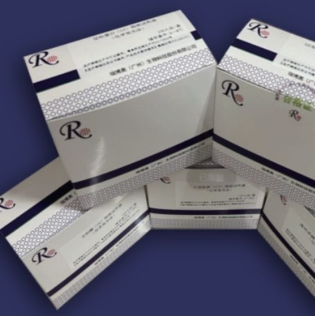 核酸提取或纯化试剂——甲基化分析