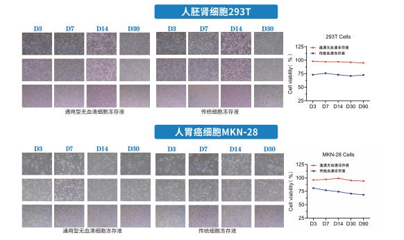 无血清细胞冻存液试用装