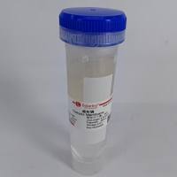 YA1048 即用型透析袋 扁宽38 截留分子量2000 耗材 索莱宝