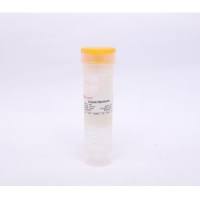 YA1043 透析袋 扁宽32 截留分子量10000 耗材 索莱宝