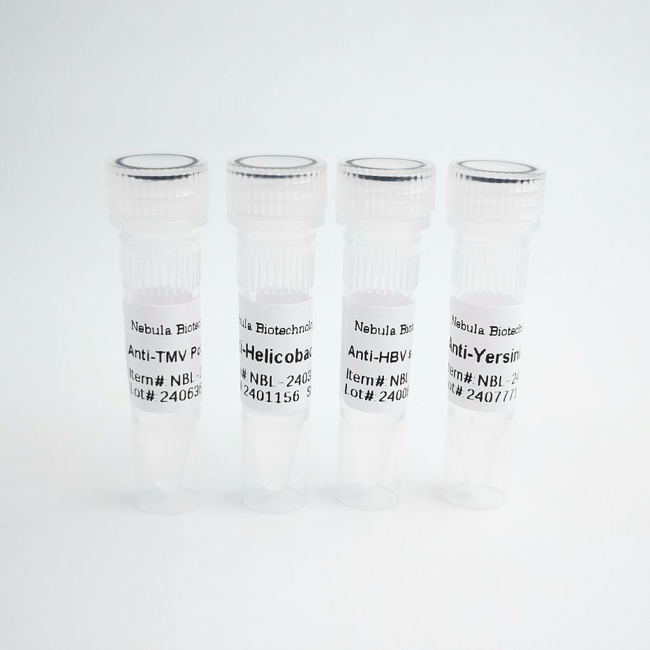 Recombinant Human CD24, His tag