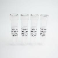 Recombinant Human CD24, His tag