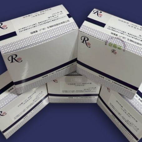 他汀类药物代谢SNP