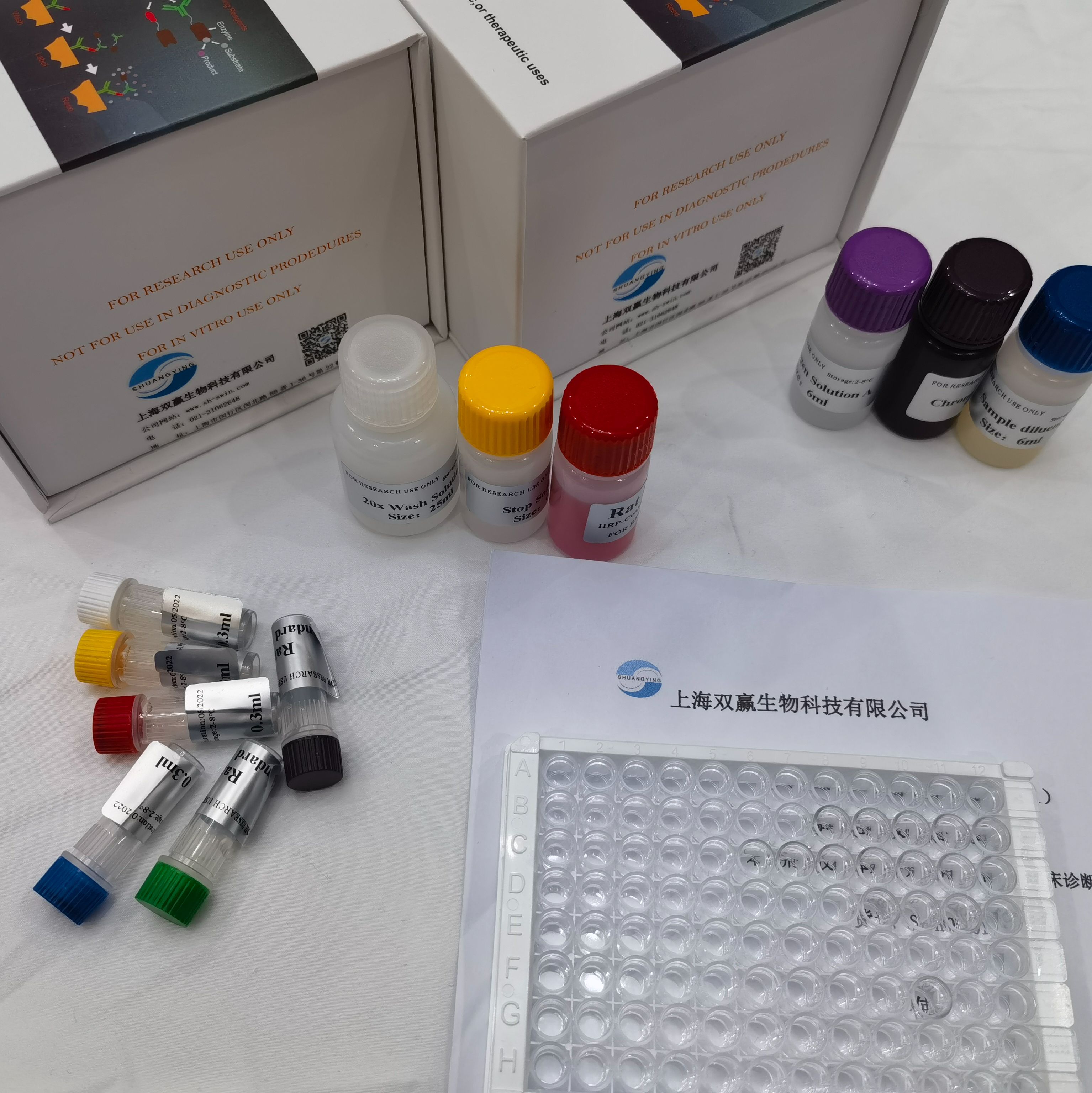 植物P型ATP酶（P-ATPases）ELISA试剂盒