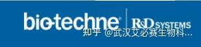 科研人必收藏！全球70+家知名抗体品牌全面解析（附官网）-公司新闻-普健生物（武汉）科技有限公司