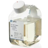 CTS™ AIM-V™ 培养基，无酚红，无抗生素