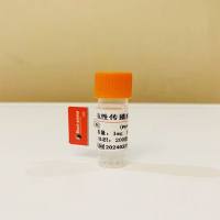 抗性传播疾病单克隆抗体；艾滋病病毒（HIV）抗体；梅毒螺旋体（TP）抗体；尖锐湿疣病毒（HPV）抗体；生殖器疱疹病毒（HSV）抗体