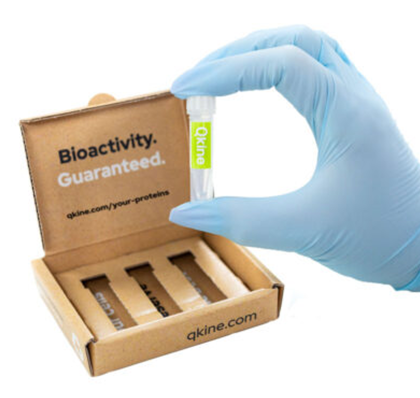 QKine：源自英国剑桥的优质生物活性蛋白供应商