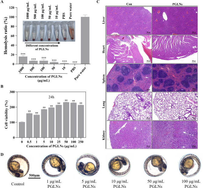 植物外泌体研究 植物外泌体研究