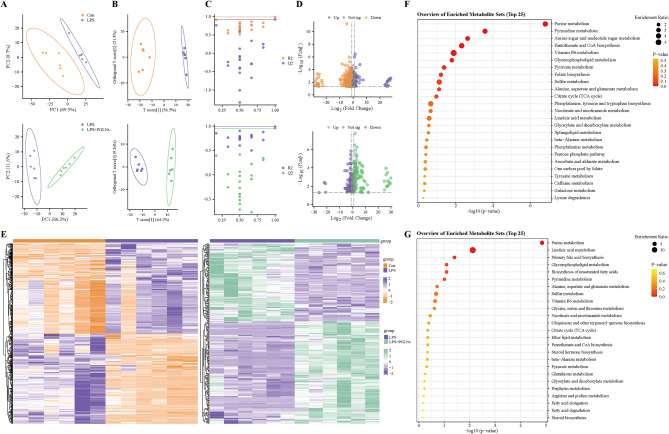 代谢分析 代谢分析