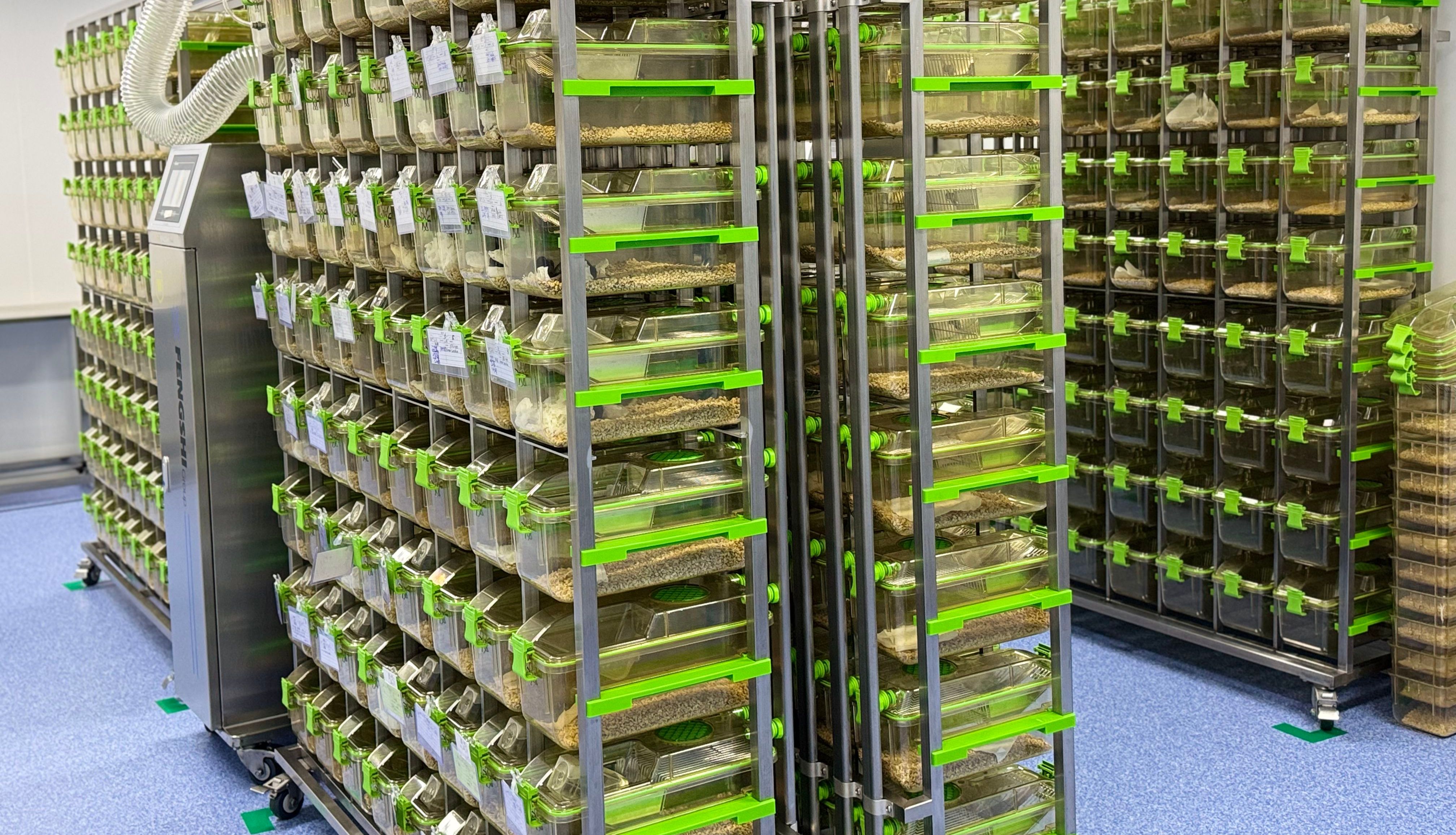 PCPA致失眠小鼠模型