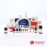IB9001 1×BPTE电泳缓冲液（RNase free） 实验常用溶液 索莱宝