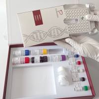 虾源性成分探针法荧光定量PCR试剂盒