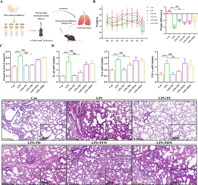 植物外泌体 植物外泌体