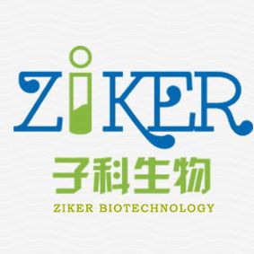 HRP-山羊抗小鼠IgM(μ链特异性)