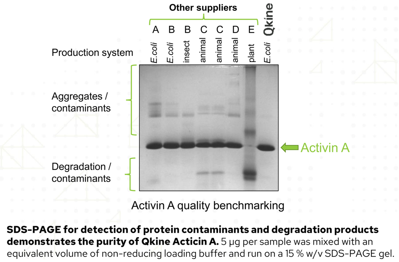 QKine：源自英国剑桥的优质生物活性蛋白供应商