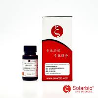 IP9220 1×多聚赖氨酸(0.1mg/ml,RNase free) 实验常用溶液 索莱宝