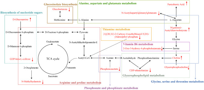 植物外泌体研究 植物外泌体研究