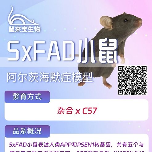 5XFAD