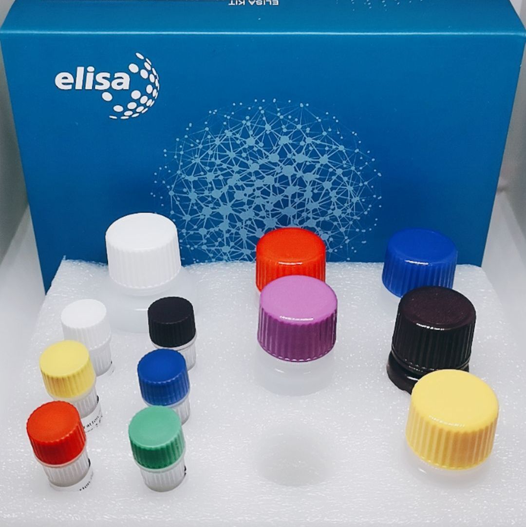 猪圆环抗体检测卡