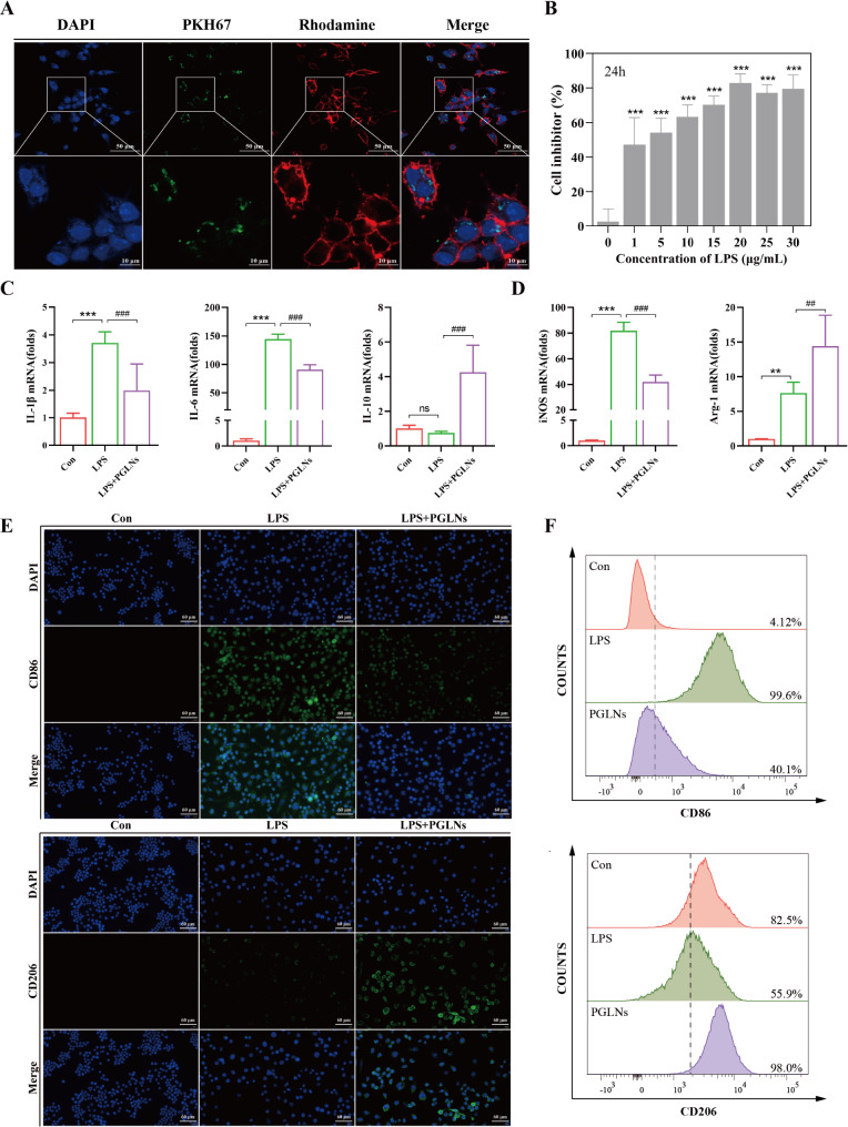 外泌体示踪 外泌体示踪