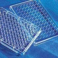 Human TNF RI/TNFRSF1A Valukine ELISA Kit