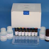 克伦特罗快速检测卡