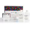 Pierce™ Dilution-Free™ Rapid Gold BCA Protein Assay（BCA 蛋白质测定试剂盒）