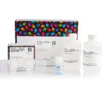 Pierce™ Dilution-Free™ Rapid Gold BCA Protein Assay（BCA 蛋白质测定试剂盒）