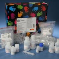 Thermo Scientific™ Pierce™ 交联 IP 试剂盒