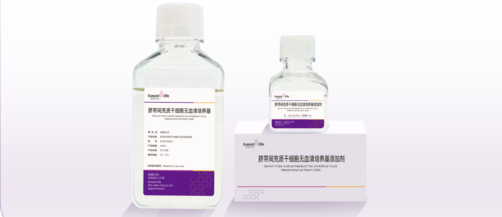 无血清培养脐带间充质干细胞 | 更安全、更高效的未来之选