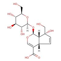 水晶兰苷|5945-50-6|Monotropein