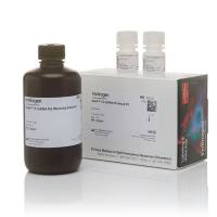 Qubit™ 1X dsDNA HS 定量试剂盒