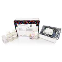 Pierce™ 交联磁性 IP/Co-IP 试剂盒