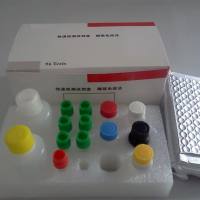 口蹄疫亚I型抗体检测试剂盒（阻断法）