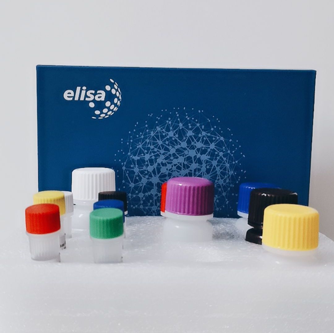 鸡传染性支气管炎病毒抗体检测试剂盒