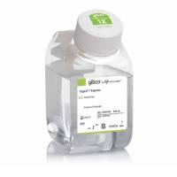 TrypLE™ Express 酶 (1X),无酚红