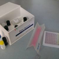 牛羊口蹄疫A型抗体检测试剂盒（阻断法）