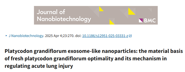 IF：10+，生物细胞学前沿大瓜！桔梗外泌体成急性肺损伤治疗“潜力股”？快来一探究竟！