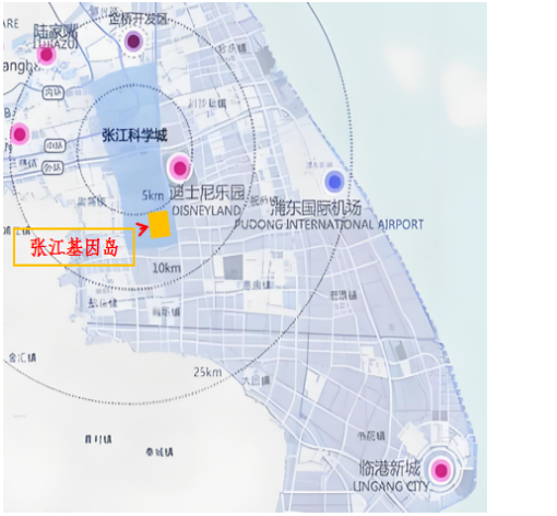 关税风暴下，如何从“备选项”升级为“必选项”‌！