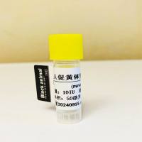 鼠抗α-促黄体激素单克隆抗体；鼠抗β-促黄体激素单克隆抗体；促黄体生成素（LH）单克隆抗体；促黄体生成素抗体；LH-McAb