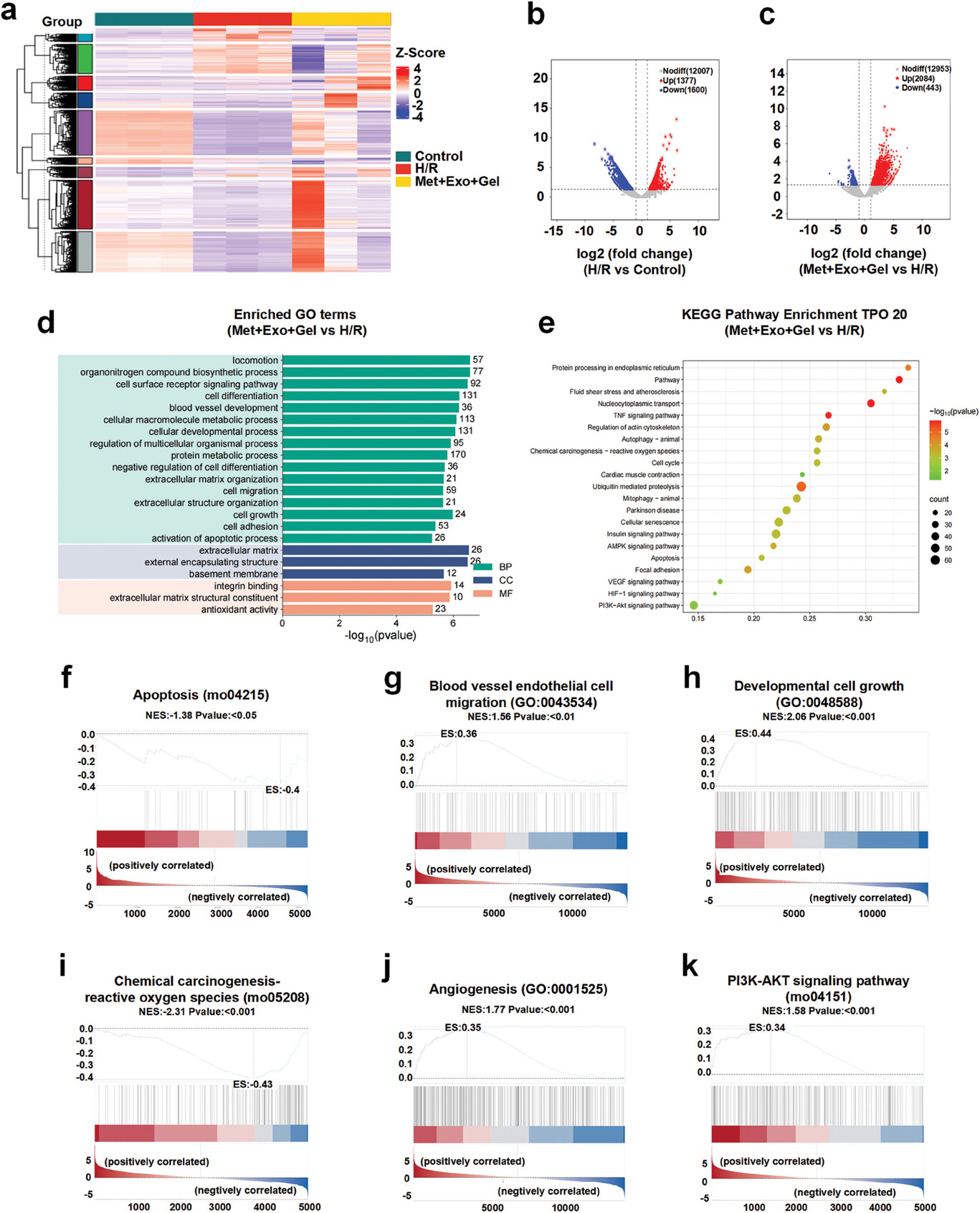 外泌体技术服务 外泌体技术服务
