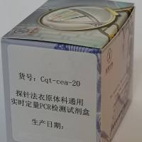 探针法衣原体科通用实时定量PCR检测试剂盒