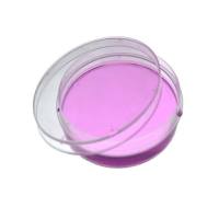 细胞培养皿对标康宁、格瑞纳、赛默飞