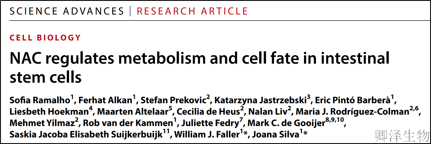【Ribo-seq技术文献】 肠道里的"命运开关"被找到！科学家揭秘干细胞如何选择"人生道路"