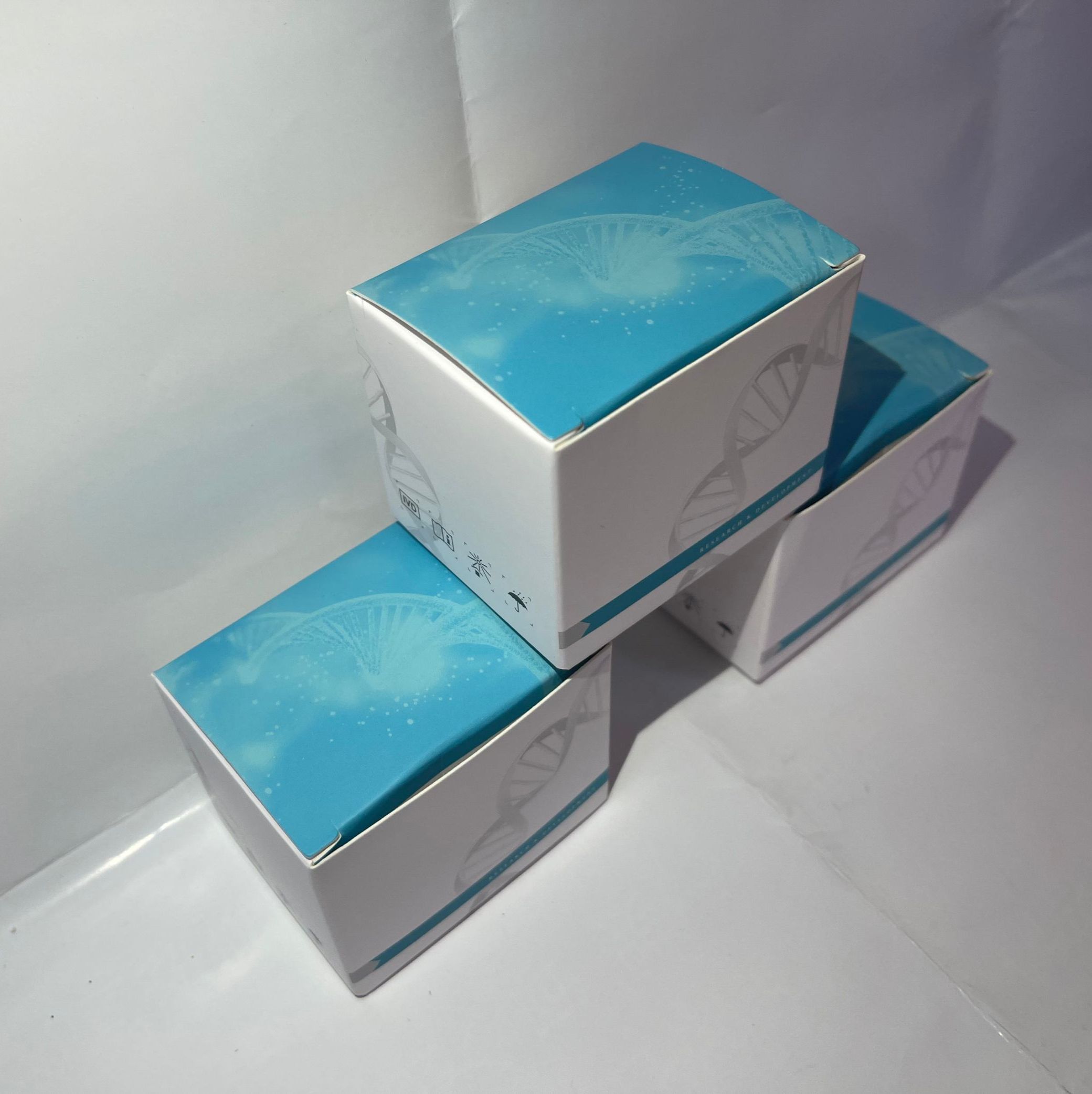 乳酸脱氢酶活性(WST-8法) 微量法